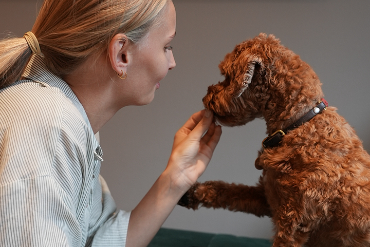 Food supplements for dogs: What does your dog really need?
