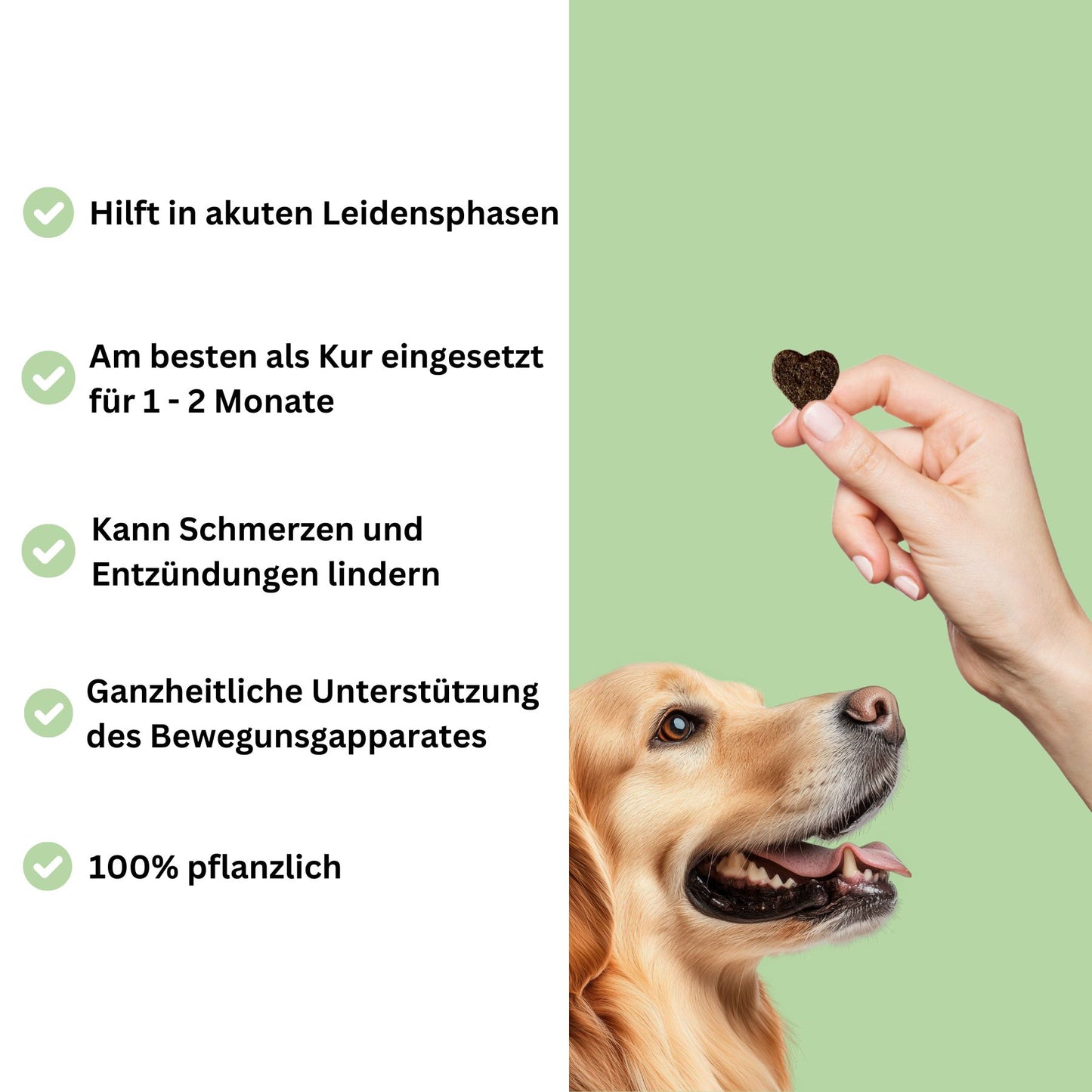 Für Knochen & Gelenke in akuten Leidensphasen