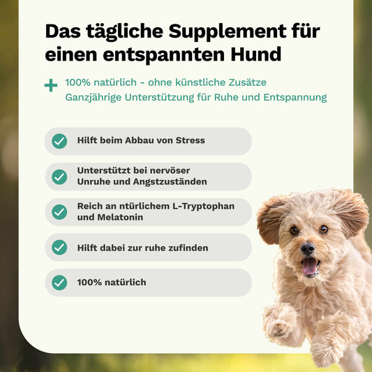 Calm n' Relax: For peace & relaxation