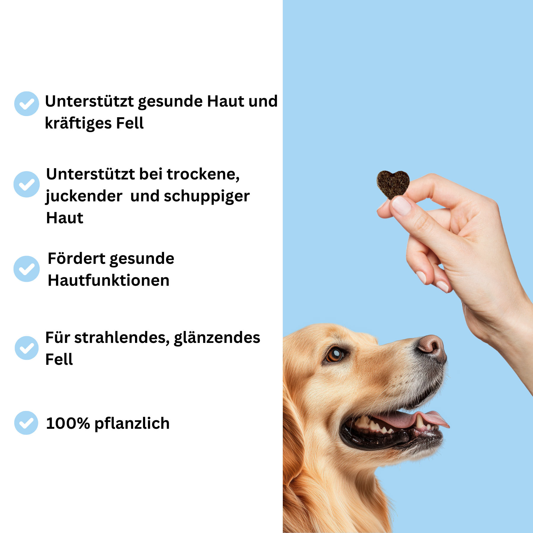 Hairy Styles: Unterstützt Haut und Fell