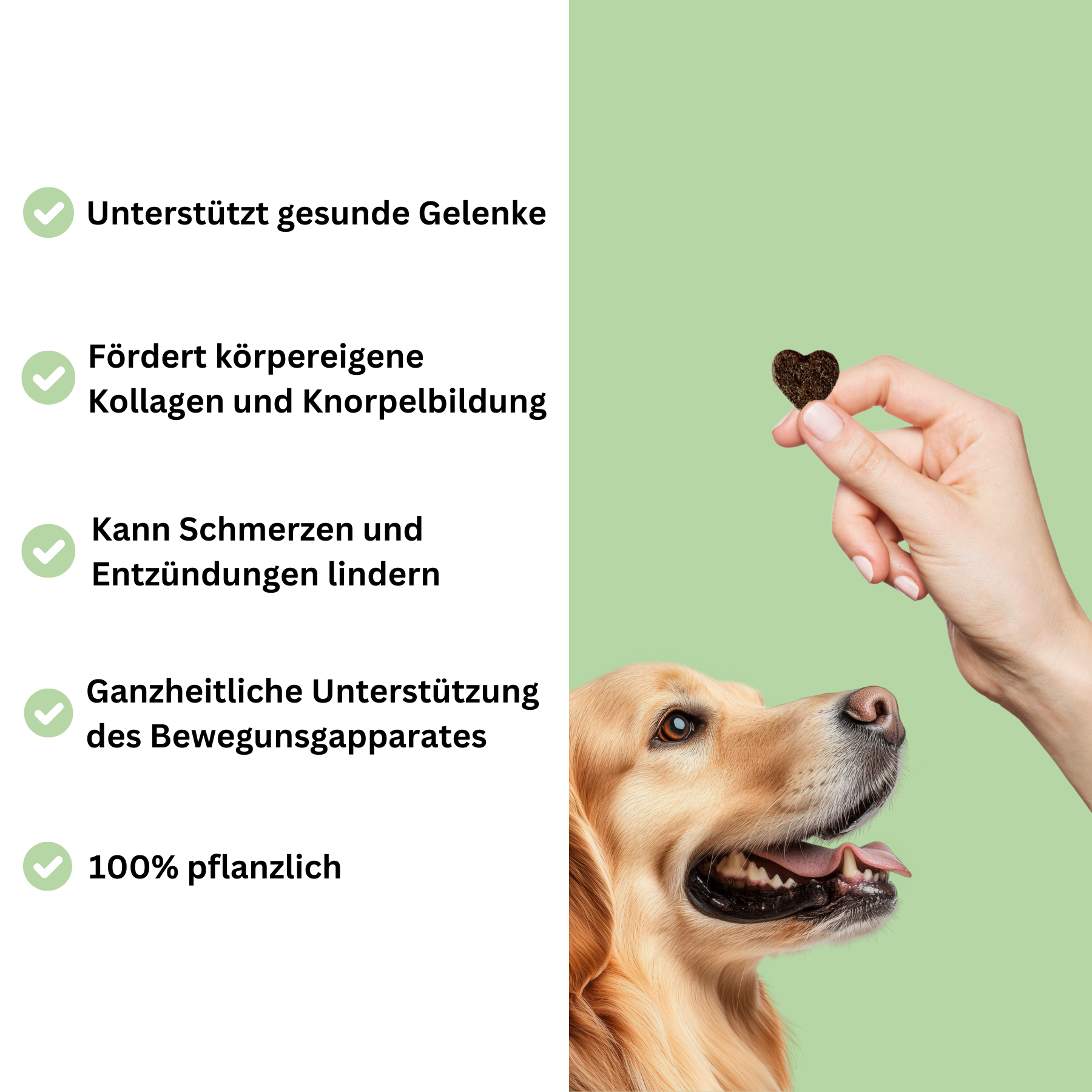 Hula Hips: Unterstützt Knochen und Gelenke