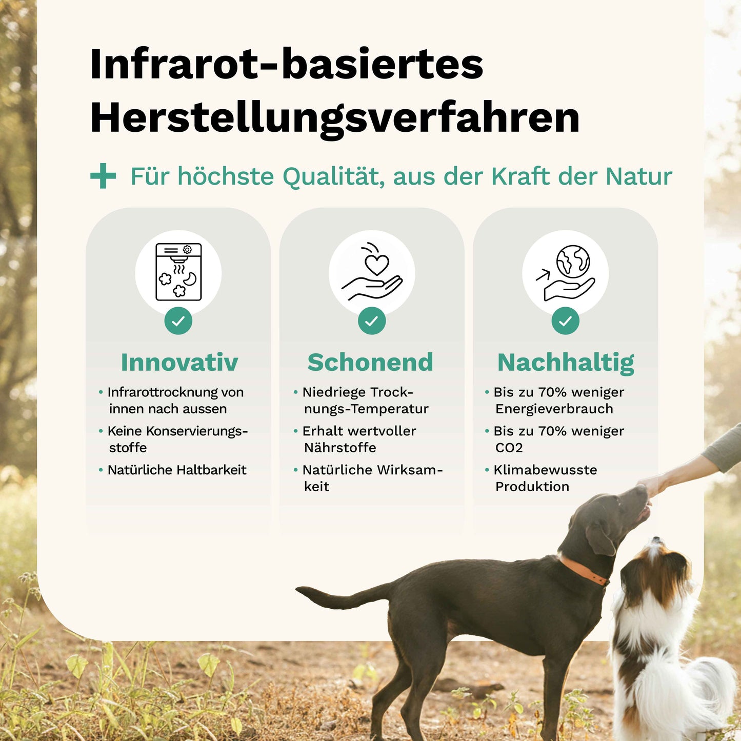 Snacks für Haut und Fell