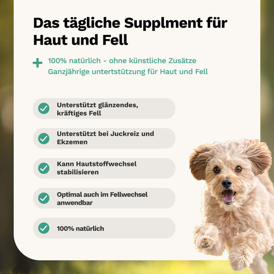 Kräutermischung für Haut und Fell