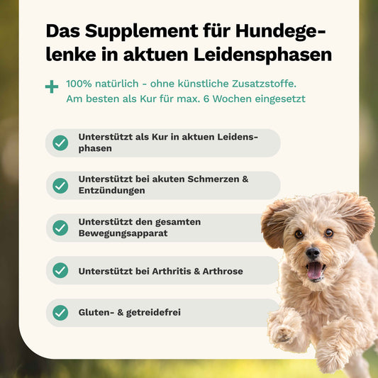 Für Knochen & Gelenke in akuten Leidensphasen