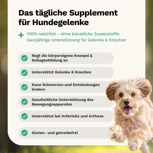 Snacks für Knochen & Gelenke PREVENT