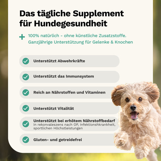 Snacks für Vitalität & Immunabwehr