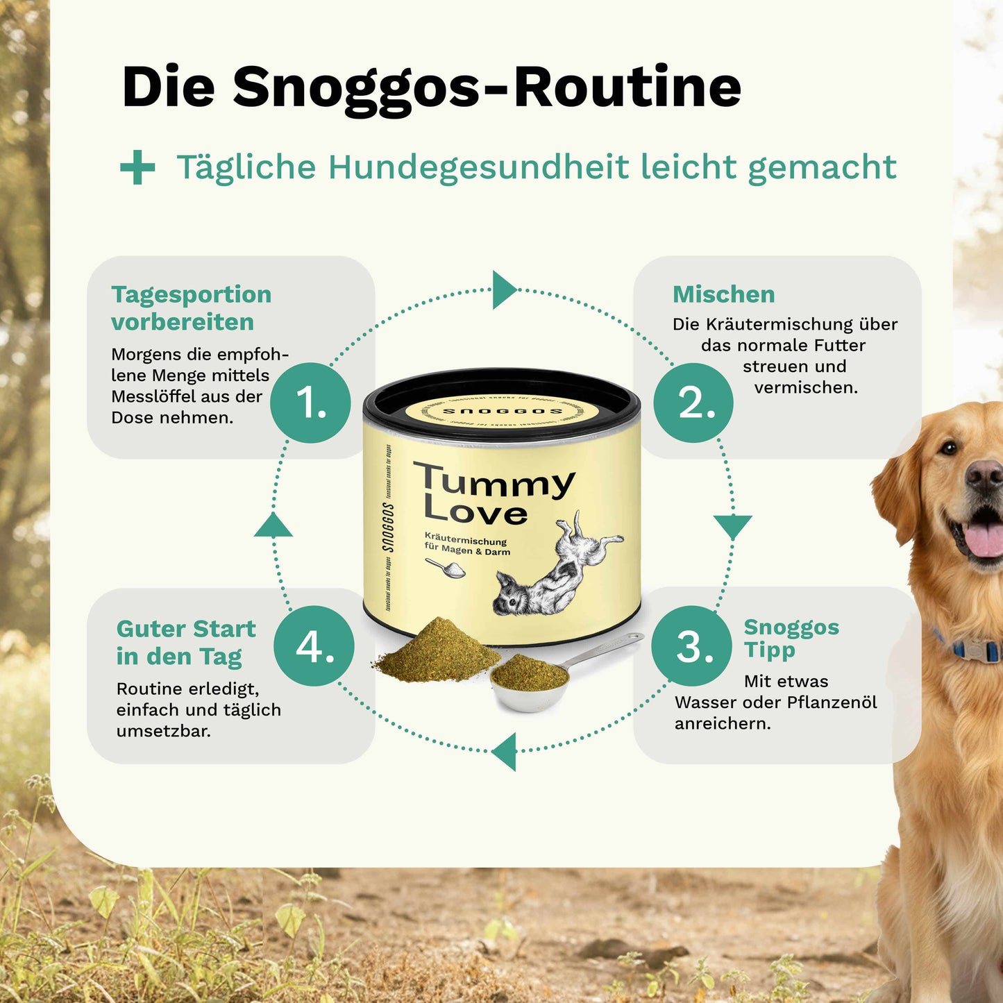 Kräutermischung für Magen & Darm