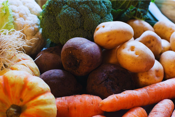 Gesunde Winter-Snacks für Hunde