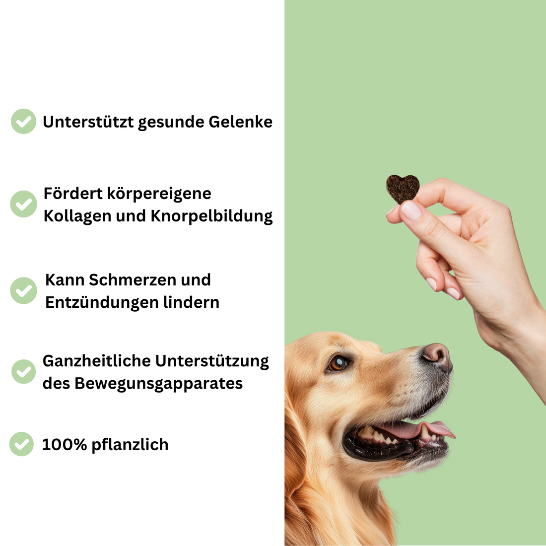 Hula Hips PREVENT: Für Knochen und Gelenke