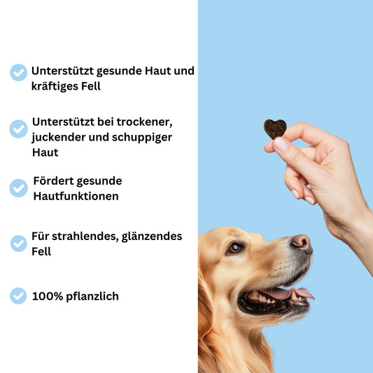 Snacks für Haut und Fell