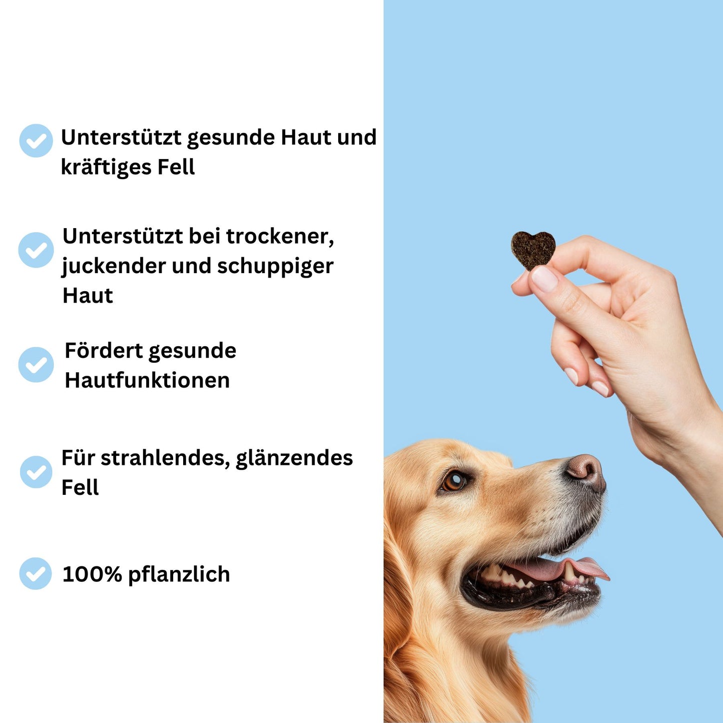 Snacks für Haut und Fell