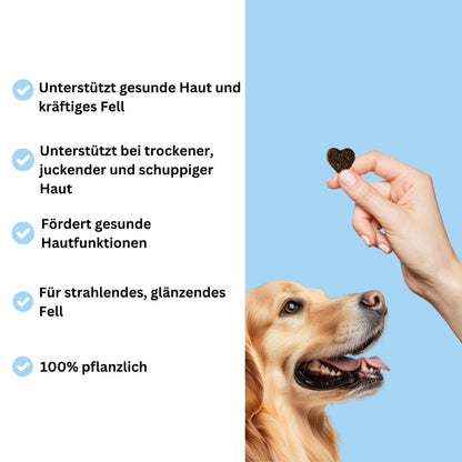 Snacks für Haut und Fell