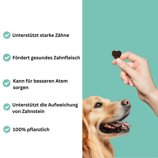 Snacks für Zähne & Zahnfleisch