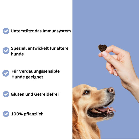 Snacks für ältere Hunde