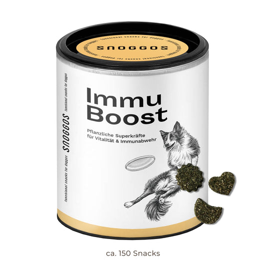 Immu Boost: Für Vitalität & Immunabwehr