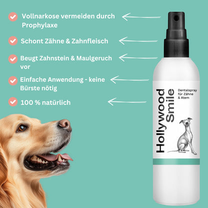 Dentalspray: Für Zähne & Zahnfleisch