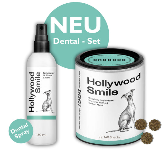 Snoggos Dental Set (10% Rabatt vs. Einzelkauf)