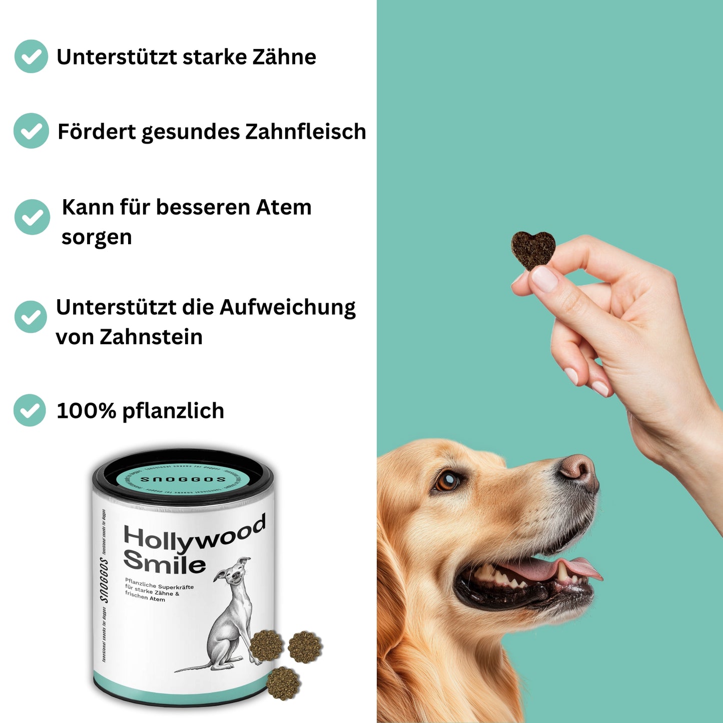 Snoggos Dental Set (10% Rabatt vs. Einzelkauf)