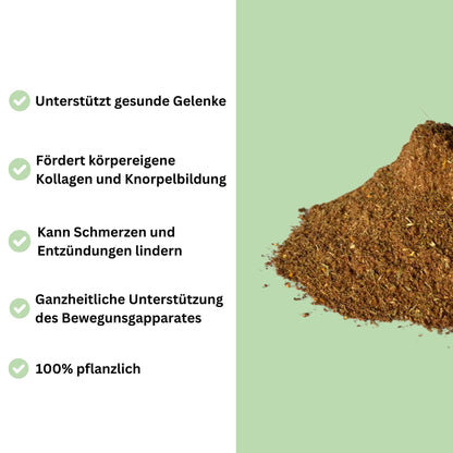 Kräutermischung für Knochen & Gelenke PREVENT