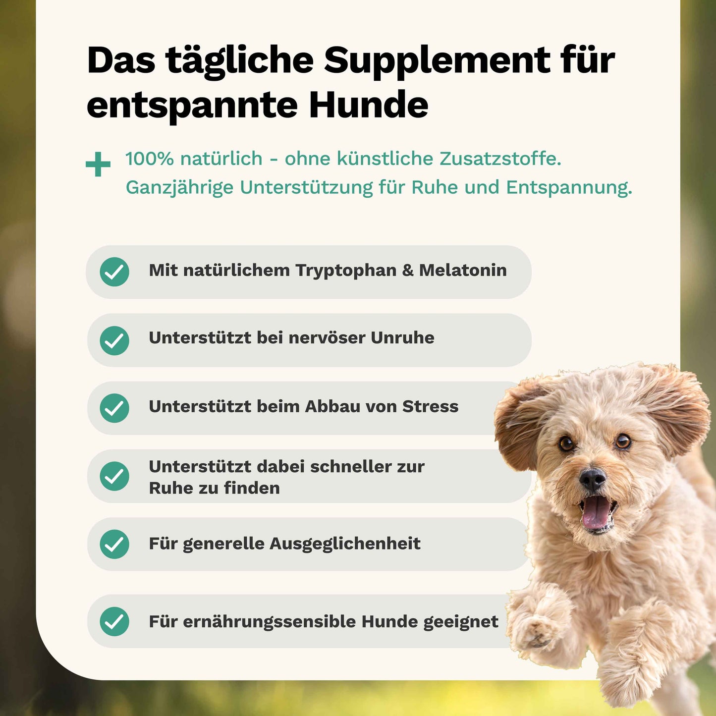 Snacks für Ruhe & Entspannung