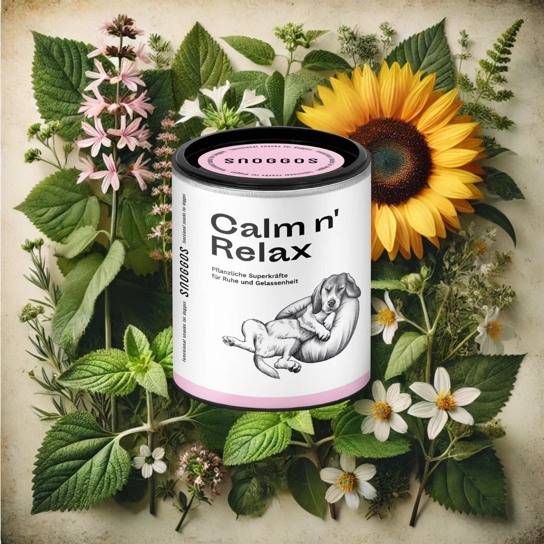 Calm n' Relax: Für Ruhe & Entspannung