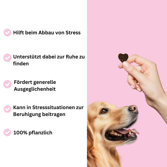 Snacks für Ruhe & Entspannung