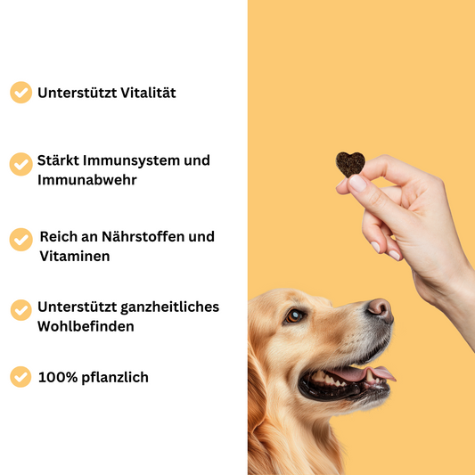 Snacks für Vitalität & Immunabwehr