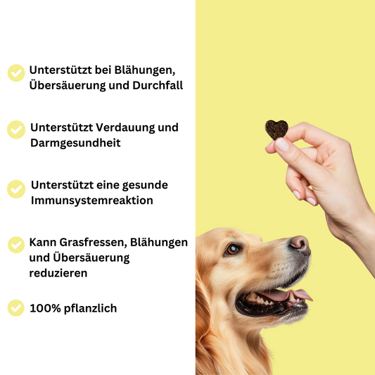 Snacks für Magen & Darm