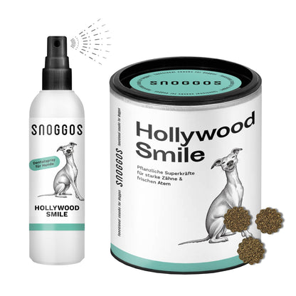 HOLLYWOOD SMILE Dental Kit – Zahnpflege für Hunde (10% Rabatt vs. Einzelkauf)