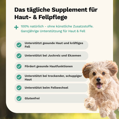 Snacks für Haut und Fell