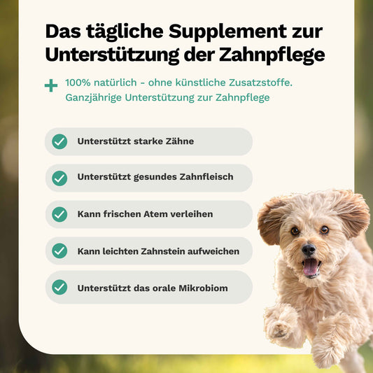 Snacks für Zähne & Zahnfleisch