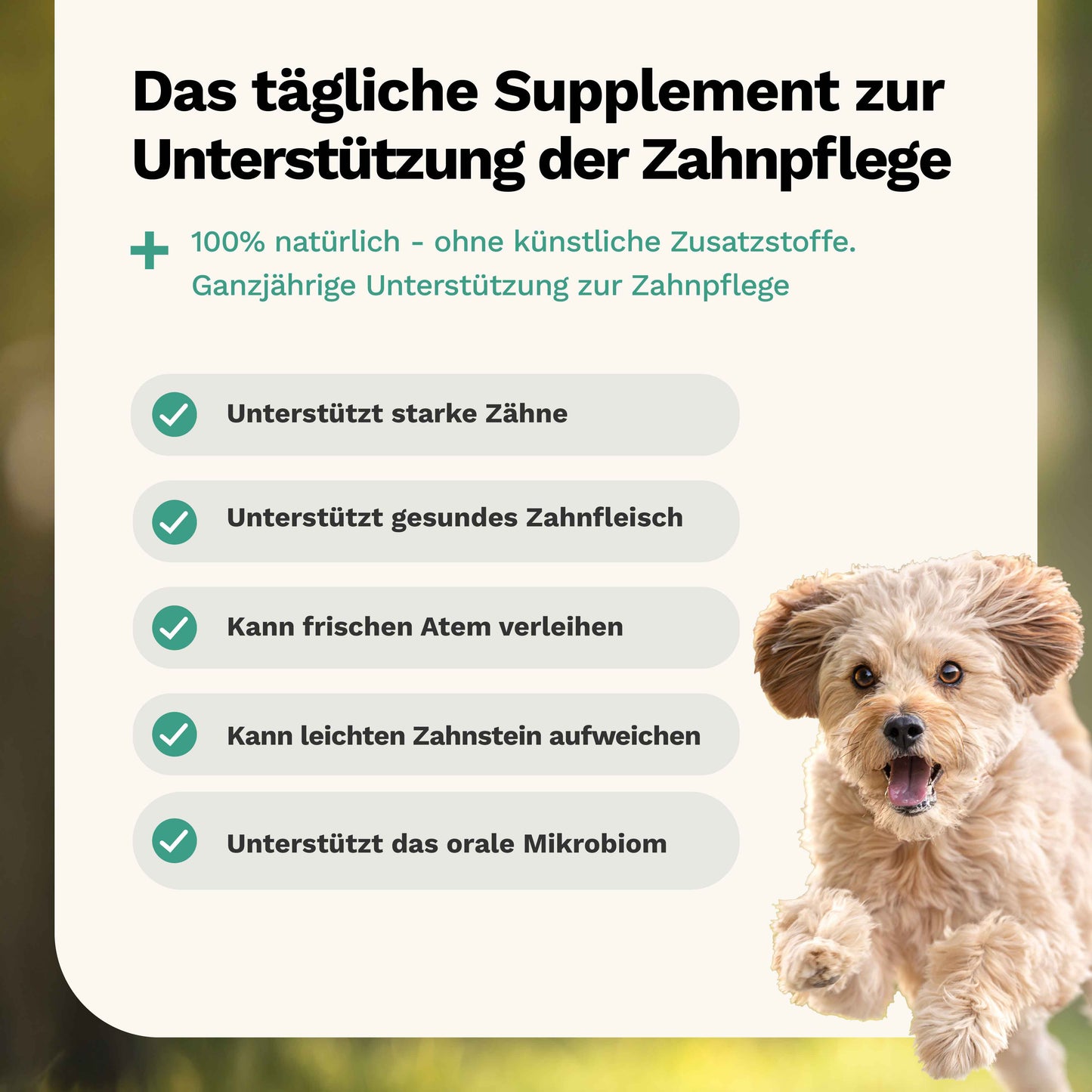 Snacks für Zähne & Zahnfleisch