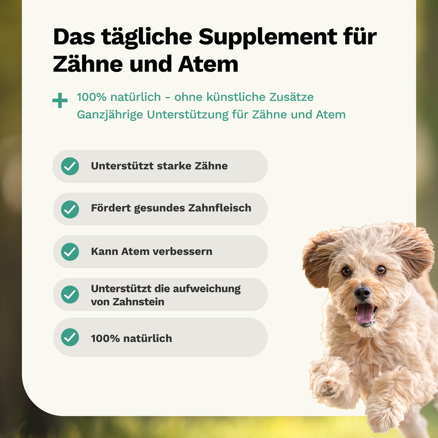 Kräutermischung für Zähne & Zahnfleisch
