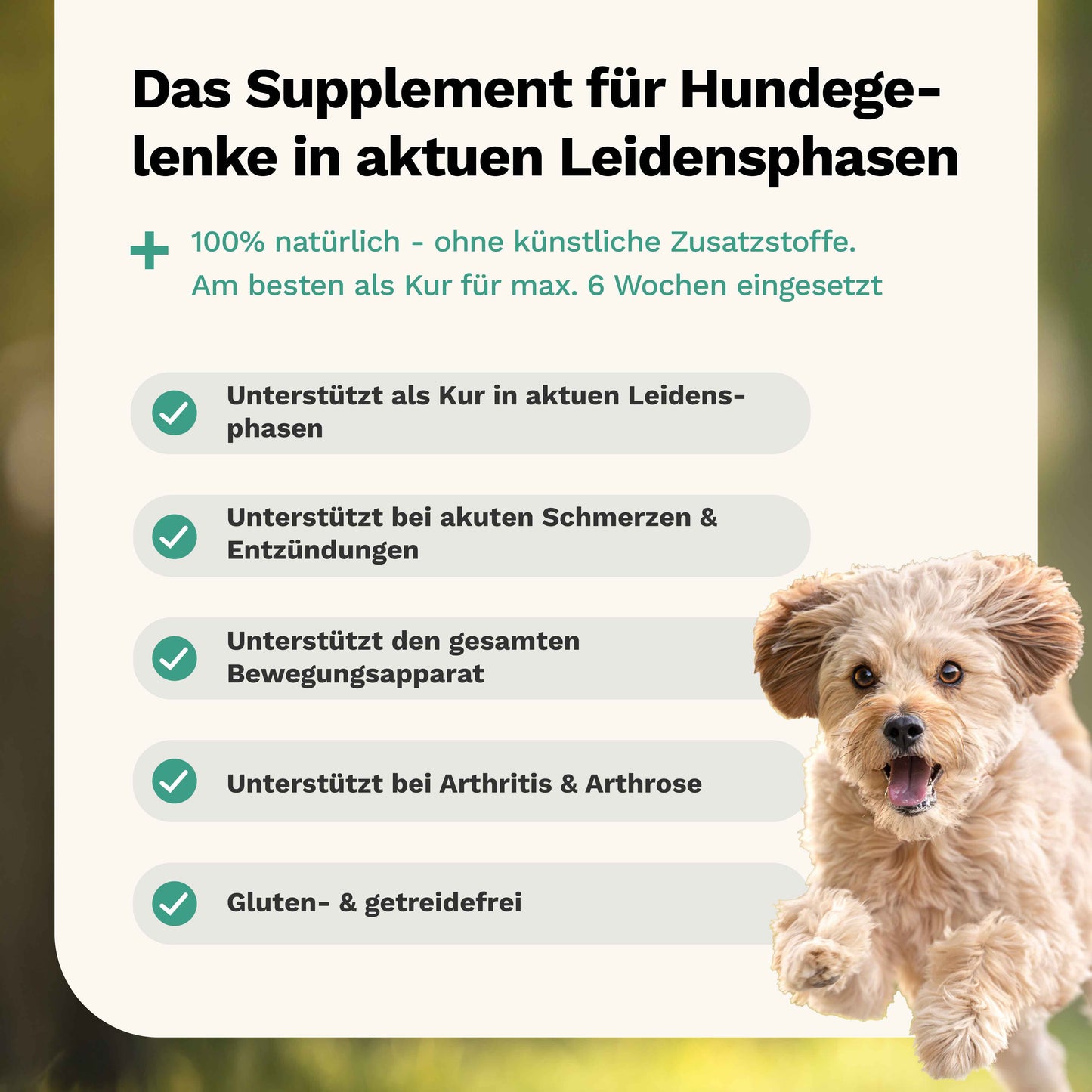 Für Knochen & Gelenke in akuten Leidensphasen