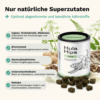 Für Knochen & Gelenke in akuten Leidensphasen