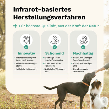 Für Knochen & Gelenke in akuten Leidensphasen