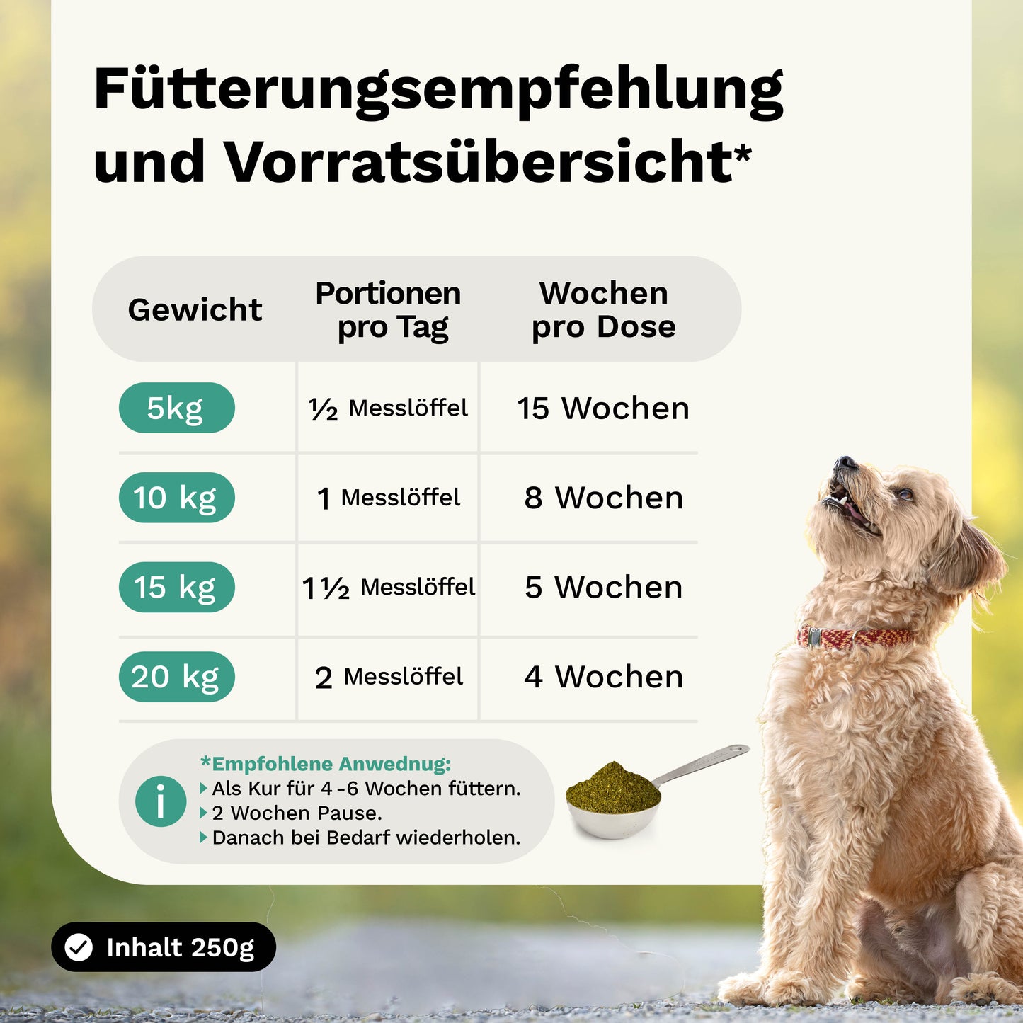 Kräutermischung für Knochen & Gelenke in akuten Leidensphasen