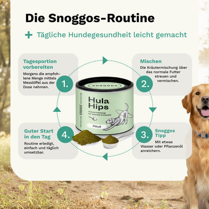 Kräutermischung für Knochen & Gelenke in akuten Leidensphasen