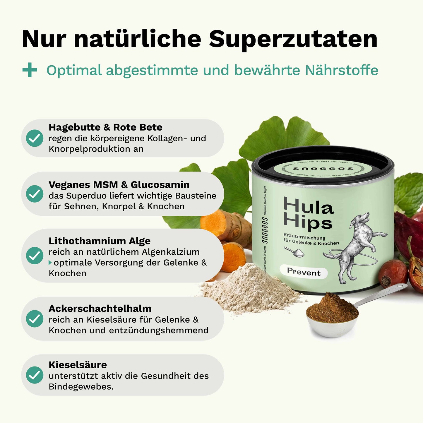 Kräutermischung für Knochen & Gelenke PREVENT