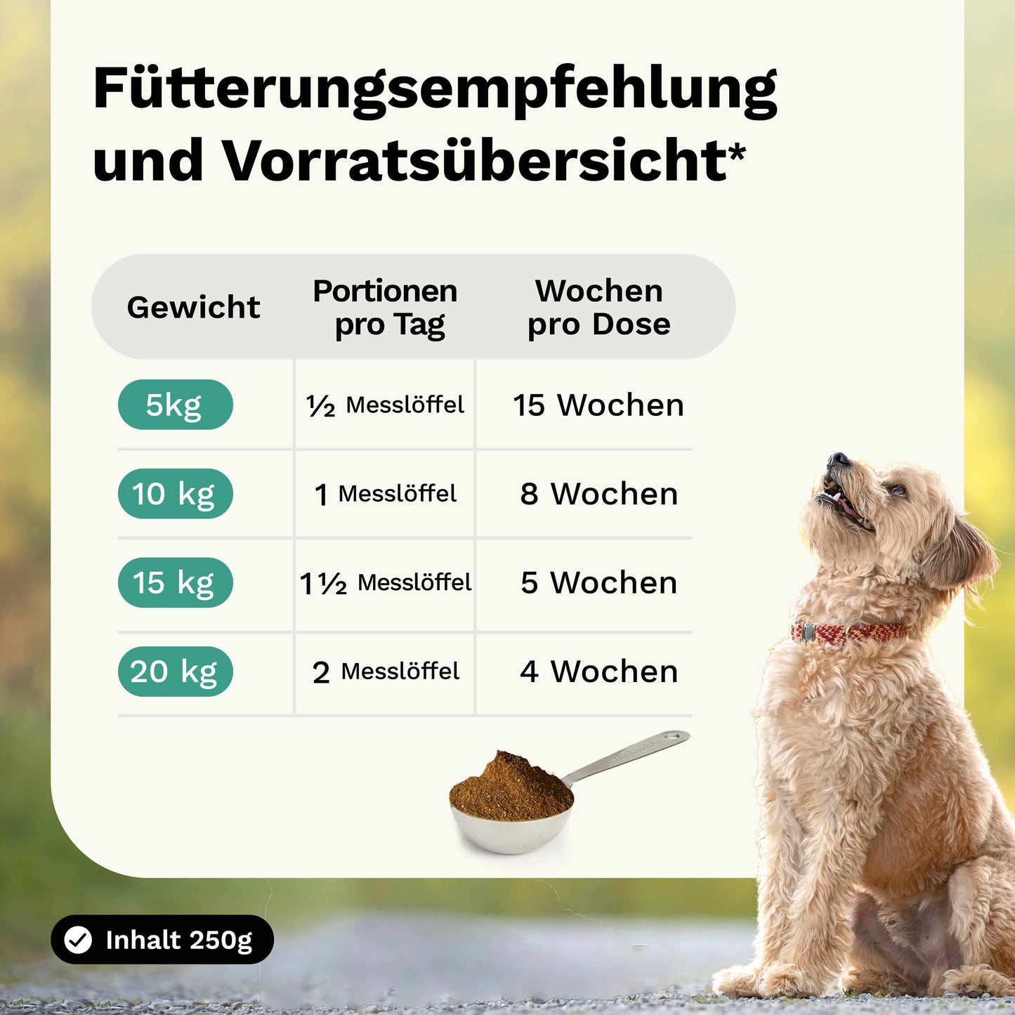Kräutermischung für Knochen & Gelenke PREVENT