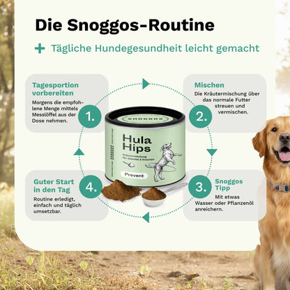 Kräutermischung für Knochen & Gelenke PREVENT