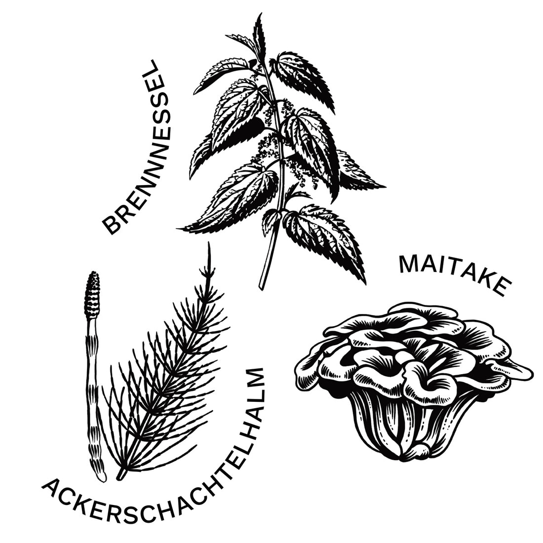 Hula Hips: Natürliche Unterstützung für Knochen und Gelenke – snoggos Hula Hips: Natürliche Unterstützung für Knochen und Gelenke – snoggos