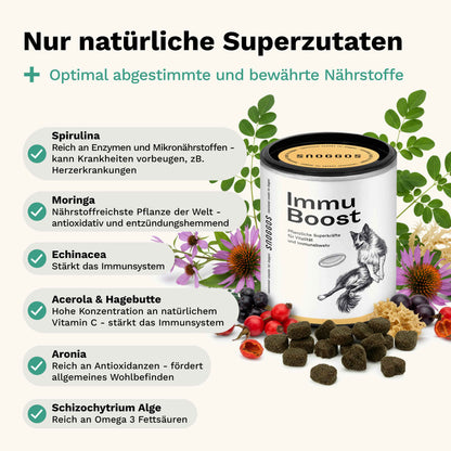 Snacks für Vitalität & Immunabwehr