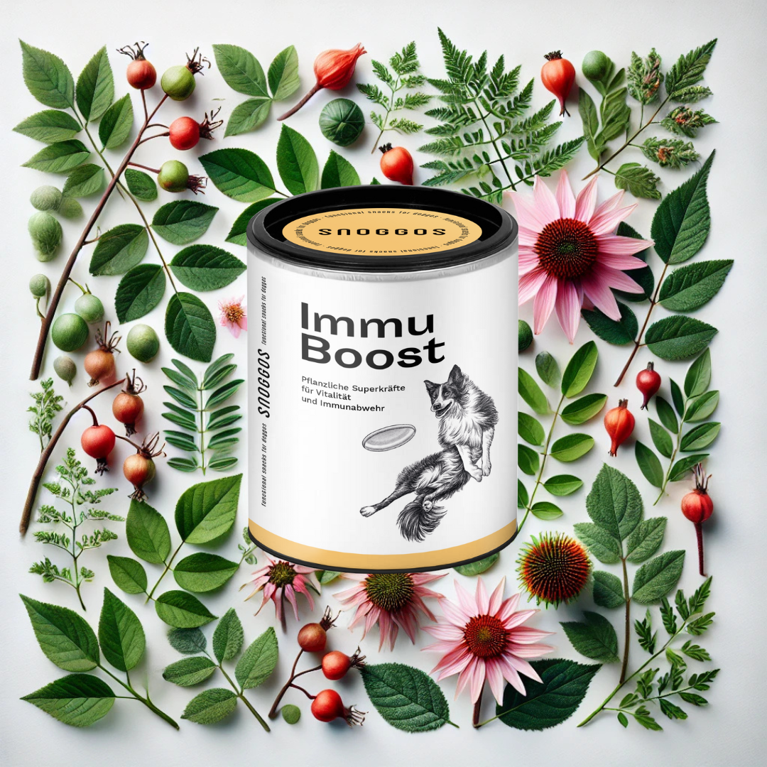 Immu Boost: For vitality & immune defense