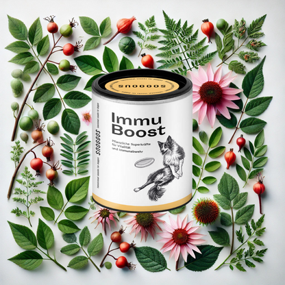 Immu Boost: For vitality & immune defense