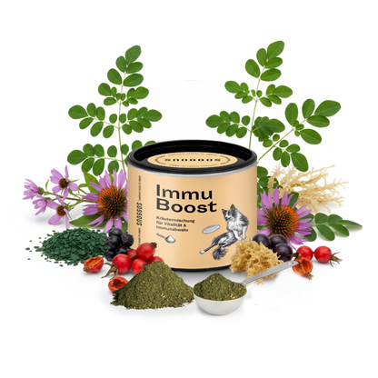 Kräutermischung für Vitalität & Immunabwehr
