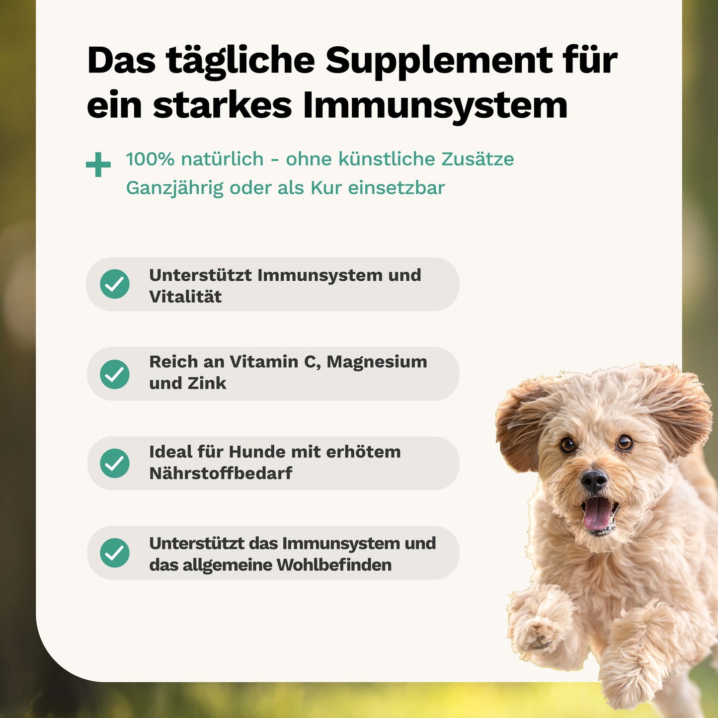 Kräutermischung für Vitalität & Immunabwehr