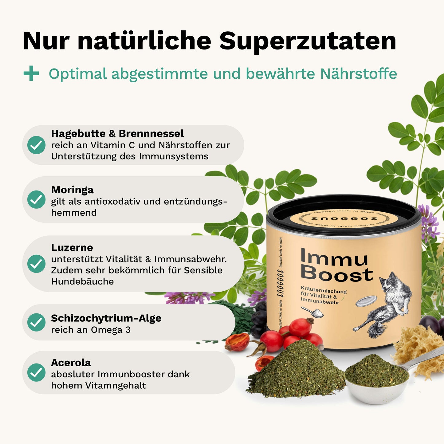 Kräutermischung für Vitalität & Immunabwehr