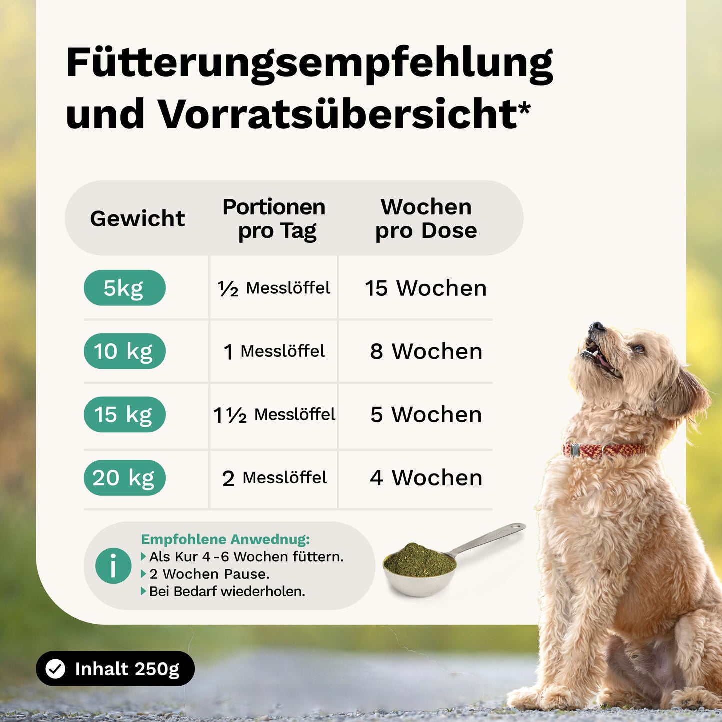 Kräutermischung für Vitalität & Immunabwehr