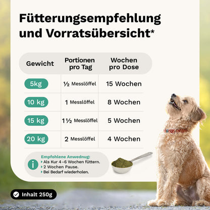 Kräutermischung für Vitalität & Immunabwehr